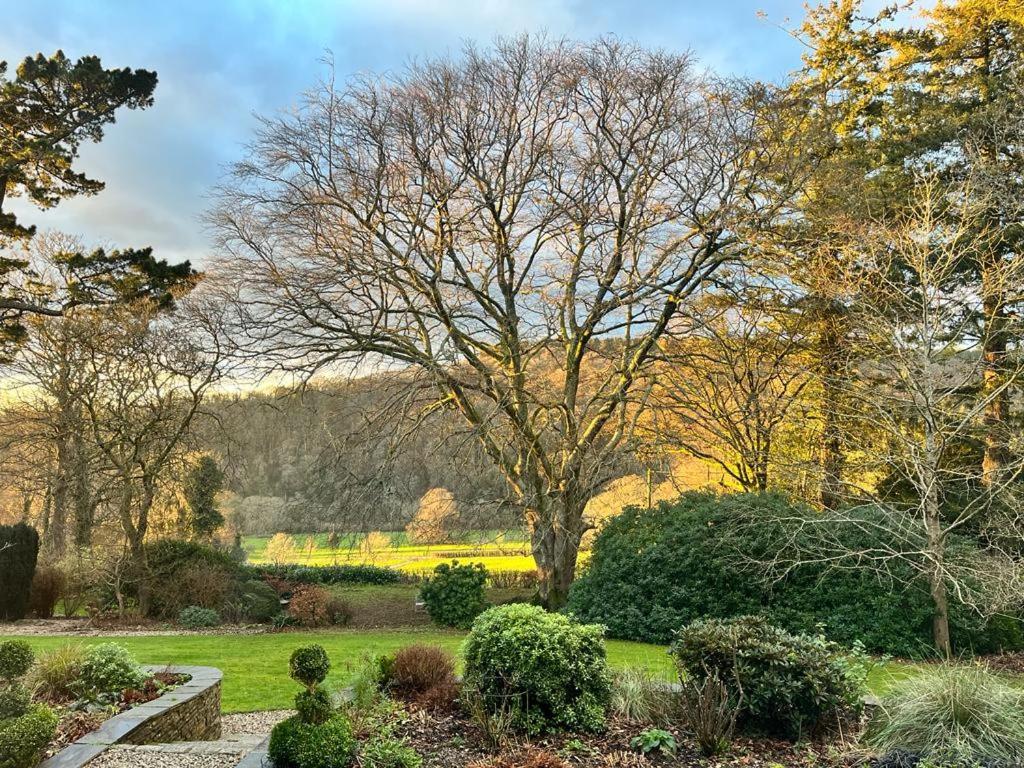 Maristow Cottages, Overlook Tamar Valley Dartmoor Plymouth Exterior foto